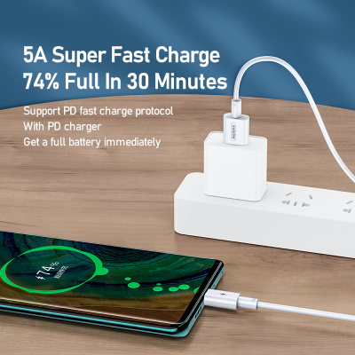 Remax RC-175I 1m Type-C to Lightning PD